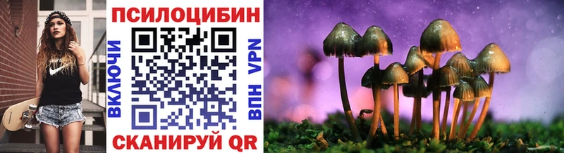 Купить закладки Малоархангельск Псилоцибиновые грибы Magic Shrooms